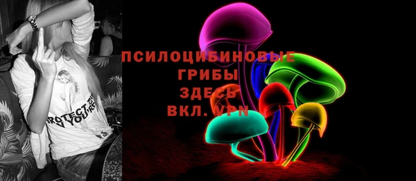 спайс Нягань