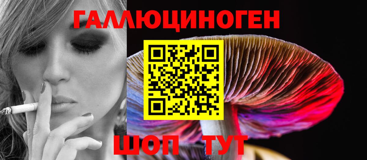 Псилоцибиновые грибы MAGIC MUSHROOMS  Псилоцибиновые грибы Psilocybe  Каспийск 